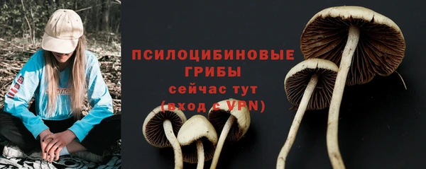 mdpv Армянск