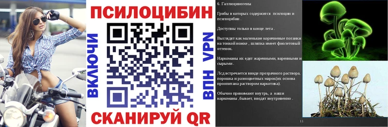Галлюциногенные грибы прущие грибы  дарк нет официальный сайт  Балей  сколько стоит 