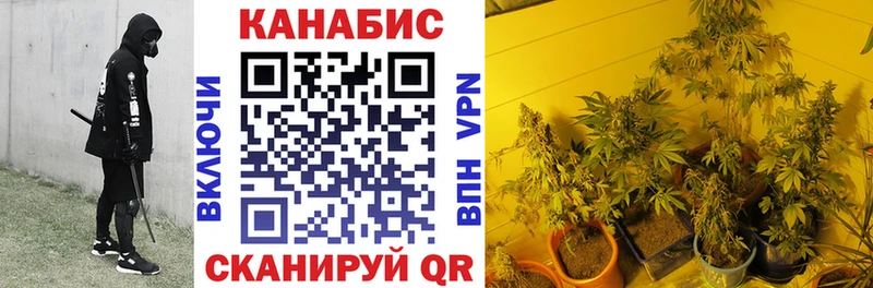 Марихуана семена  дарнет шоп  Балей 
